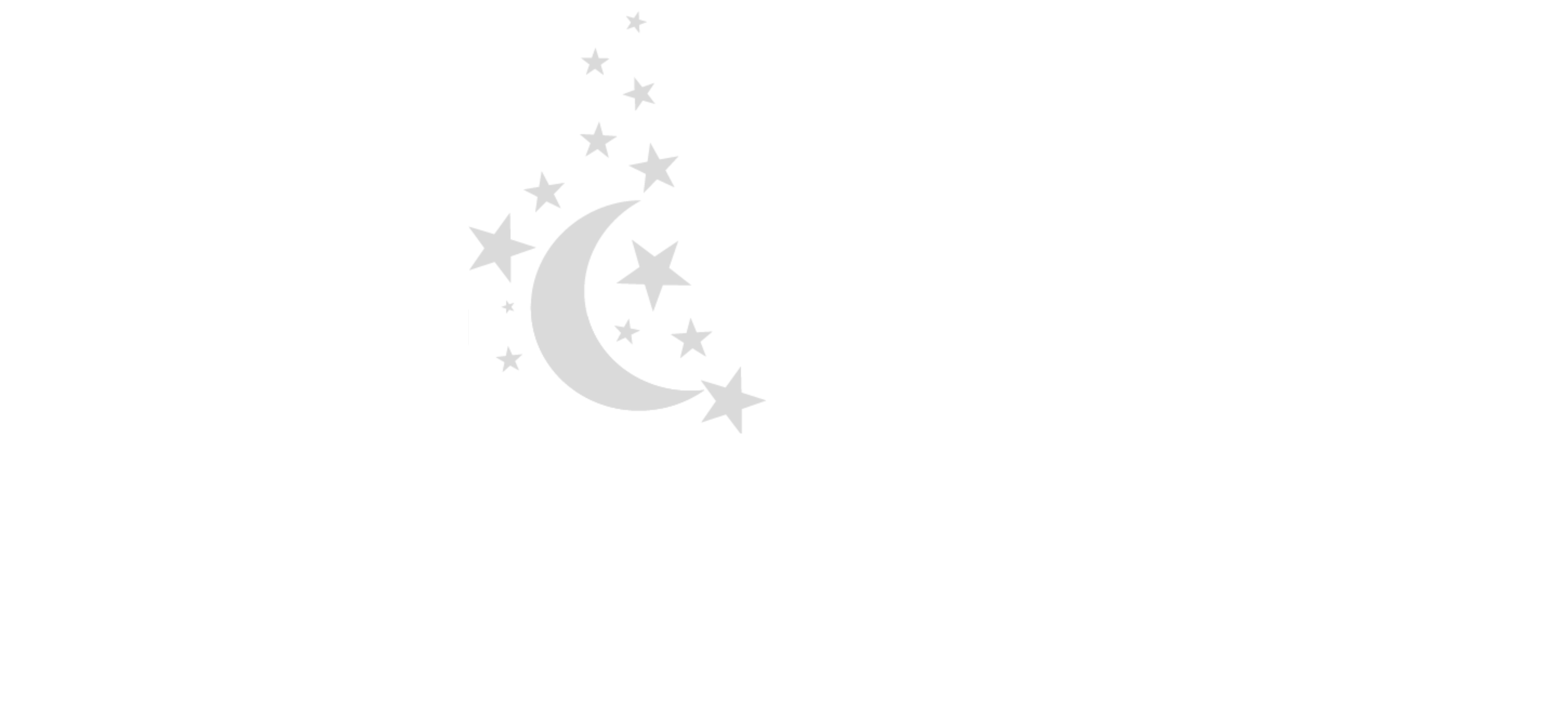 NiteTours - Las Vegas Night Tour